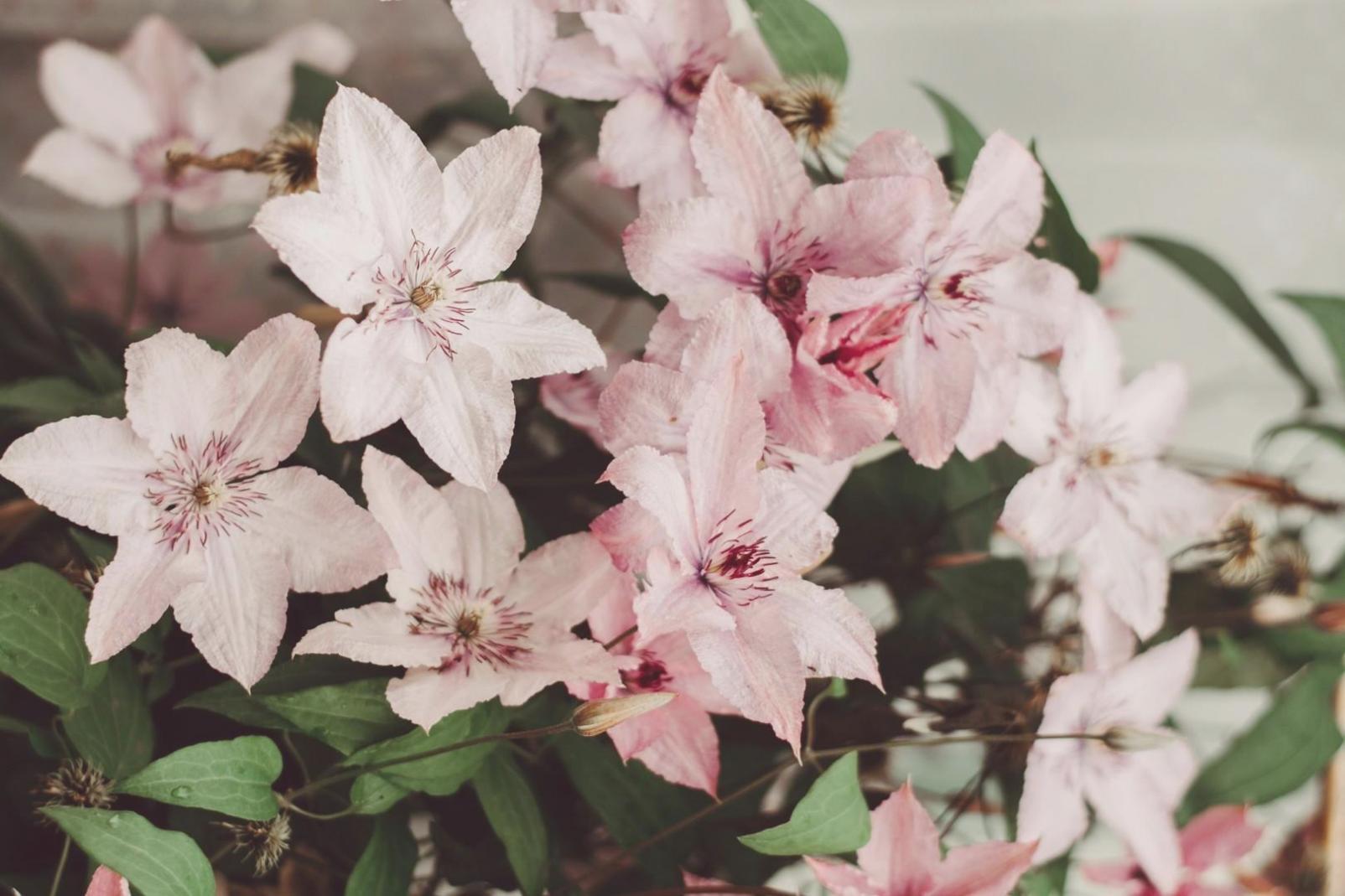 Final floral arrangement showcase