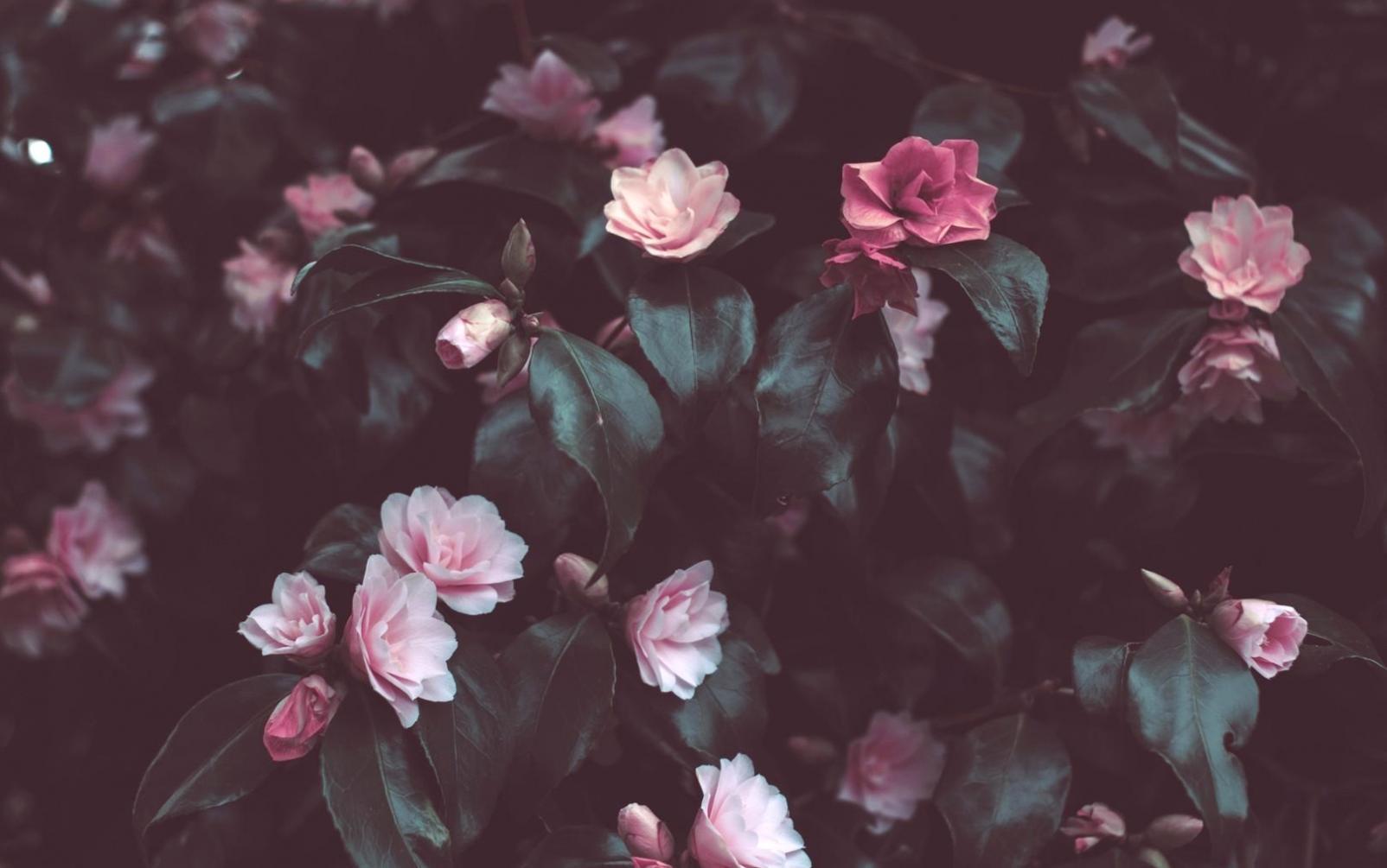 Corporate Event Florals